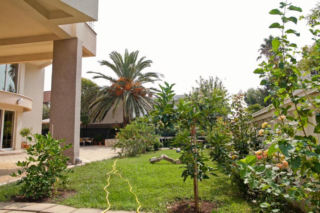 Residence Bella Budva Bagian luar foto